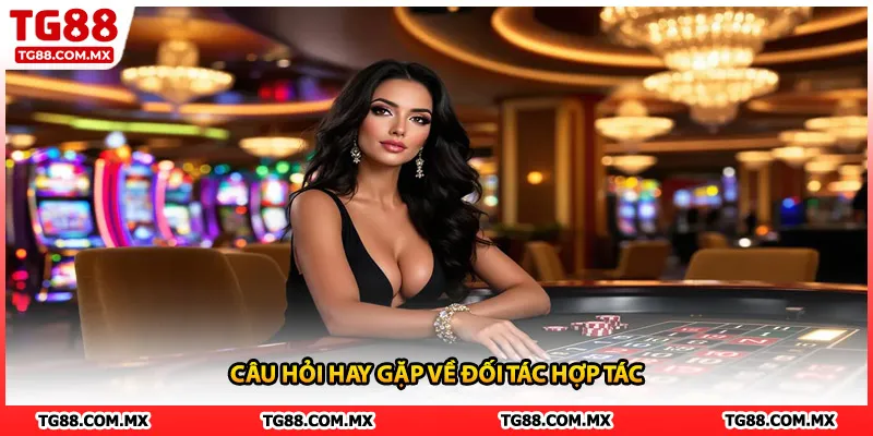 Câu hỏi hay gặp về đối tác hợp tác