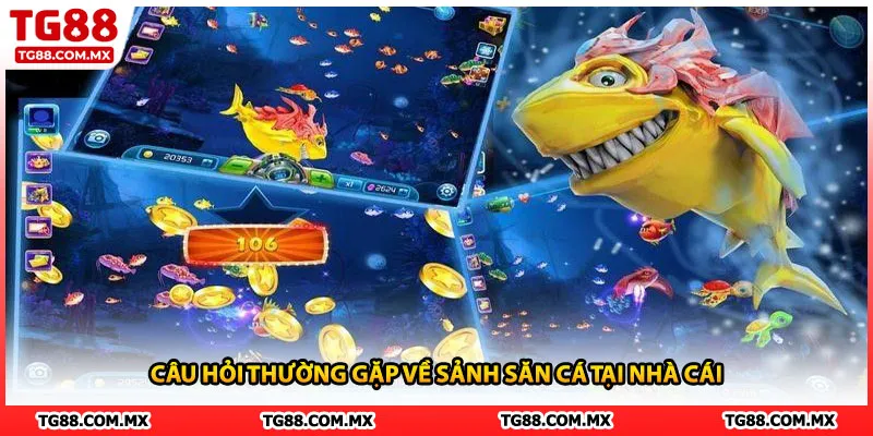 Câu hỏi thường gặp về sảnh săn cá tại nhà cái