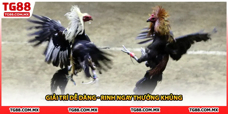 Giải trí dễ dàng - Rinh ngay thưởng khủng