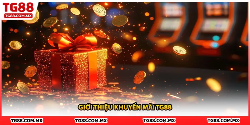 Giới thiệu khuyến mãi TG88