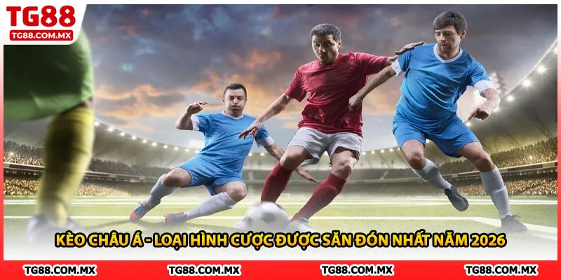 Kèo Châu Á - Loại Hình Cược Được Săn Đón Nhất Năm 2026