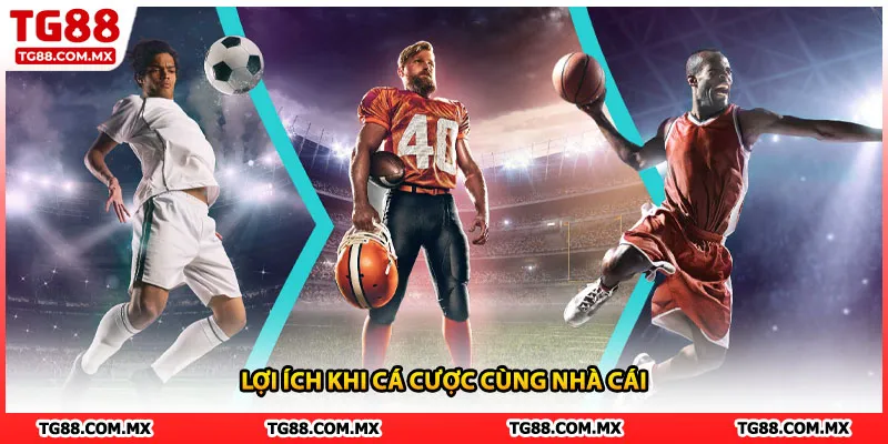 Lợi ích khi cá cược cùng nhà cái