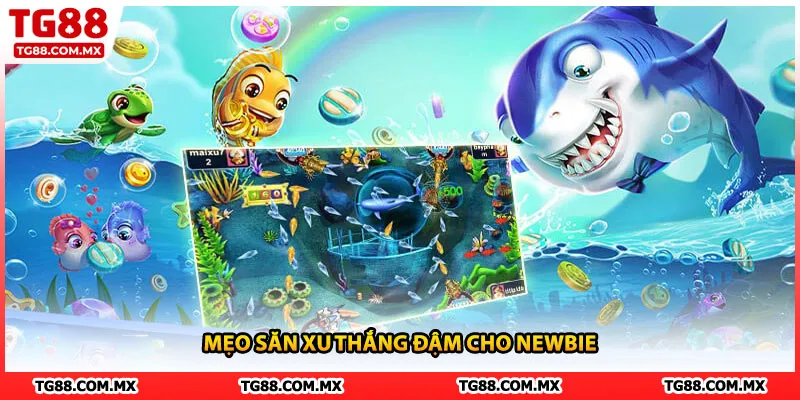 Mẹo săn xu thắng đậm cho newbie