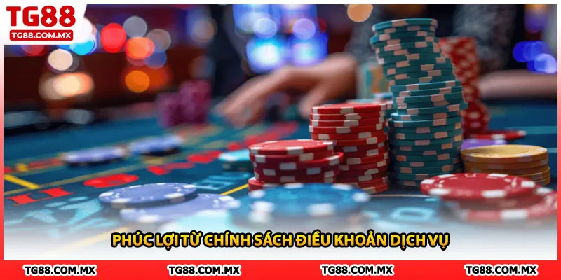 Phúc lợi từ chính sách điều khoản dịch vụ