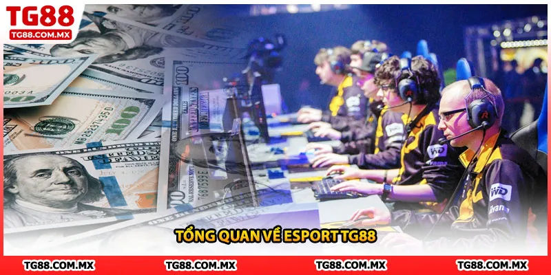 Tổng quan về Esport TG88